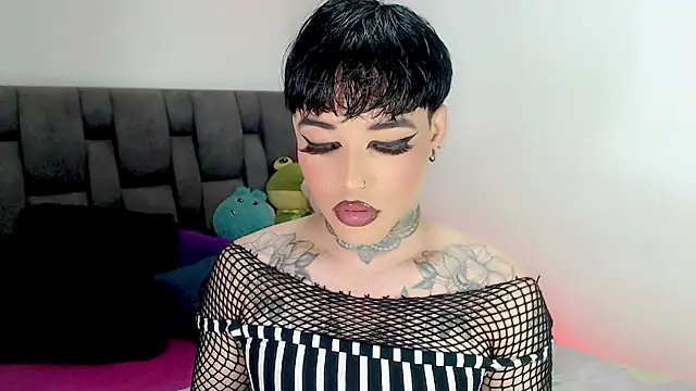 little star porn online show from February 2026 02:36:01 PM