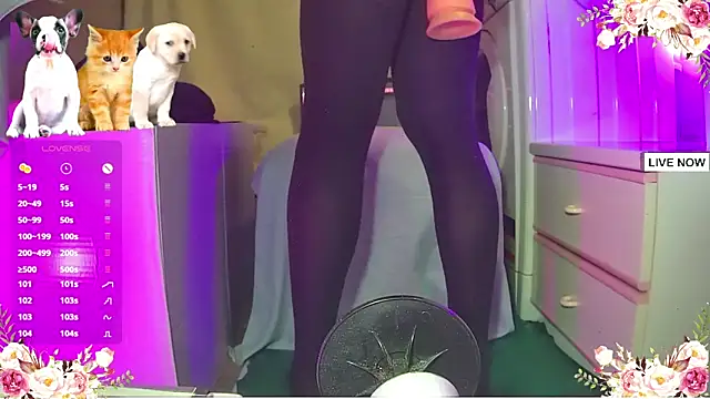 extremelover88 online show from November 2025 08:42:02 PM