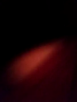 Snapshot of EISONREINA11 chatting on October 2025 02:50:01 PM EISONREINA11 online show from October 2025 02:50:01 PM