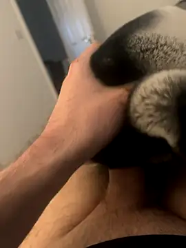 Furdale online show from December 2024 03:00:02 PM