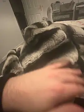 Furdale online show from December 2024 09:33:02 PM