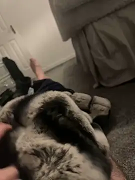 Furdale online show from January 2025 04:55:01 PM