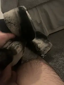 Furdale online show from January 2025 05:20:01 PM