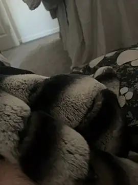 Furdale online show from January 2025 11:14:01 AM