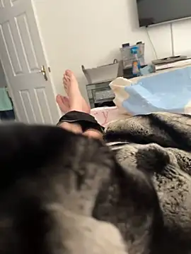 Furdale online show from February 2025 03:09:01 PM