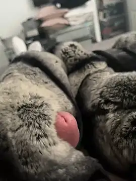 Furdale online show from February 2025 12:58:01 PM