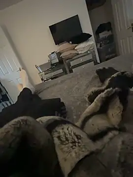 Furdale online show from February 2025 04:03:02 PM