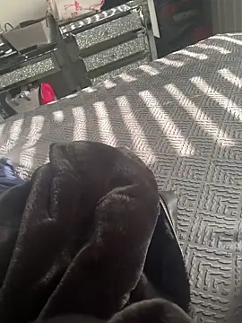 Furdale online show from March 2025 02:19:02 PM