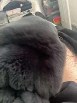 Furdale online show from March 2025 11:12:02 AM