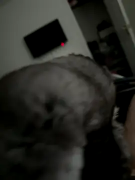 Furdale online show from October 2025 03:30:01 PM