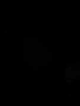 Furdale online show from November 2025 05:14:02 PM