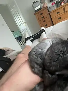 Furdale online show from April 2026 10:11:01 AM