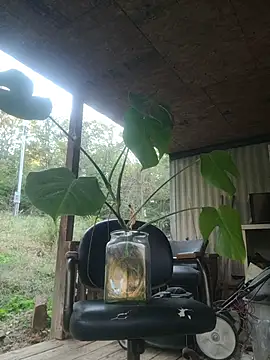 xomikaylaxo online show from October 2025 10:32:02 PM