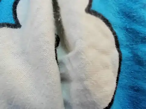 bigbooty29 online show from September 2025 04:50:01 AM