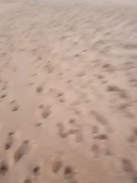 rodovlaz online show from September 2025 10:44:02 PM