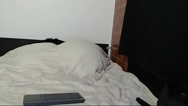 Snapshot of Sofynix chatting on November 2025 12:30:01 AM Sofynix online show from November 2025 12:30:01 AM