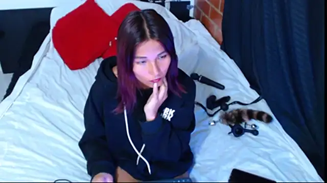 Snapshot of Sofynix chatting on December 2025 09:42:02 PM Sofynix online show from December 2025 09:42:02 PM