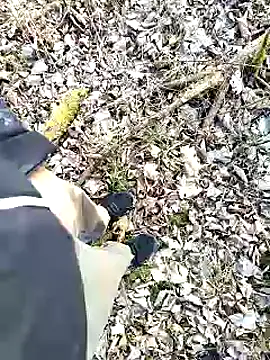 Boring one online show from February 2025 02:55:02 PM