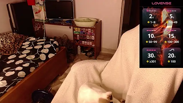 Snapshot of Apolo_S chatting on February 2026 08:33:01 AM Apolo S online show from February 2026 08:33:01 AM