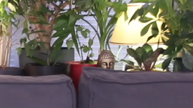 Lily minx online show from November 2025 03:38:01 AM