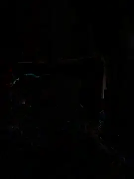 saye0044 online show from February 2026 12:56:02 PM