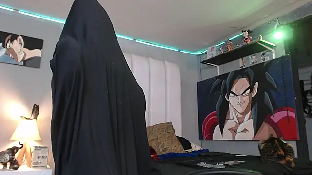 bardock 1 online show from February 2025 03:50:01 AM