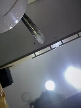 Tayra Siny online show from February 2025 12:47:01 PM