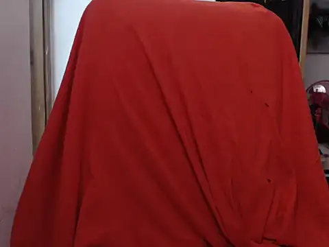 deftoolceles online show from December 2024 10:17:02 AM