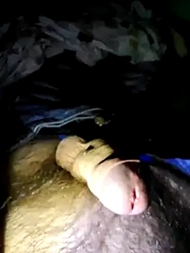 Snapshot of Robertvirt chatting on November 2025 02:20:02 PM Robertvirt online show from November 2025 02:20:02 PM