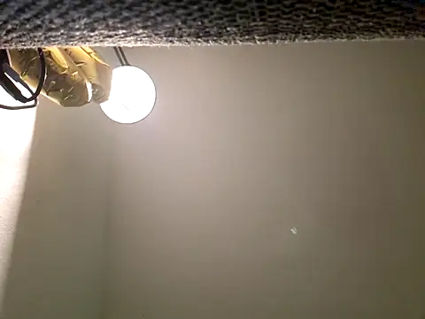 Percy ohv online show from December 2025 05:47:01 AM