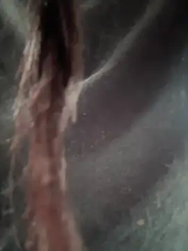   IRIS   online show from February 2025 04:31:01 PM