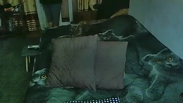 sex2 online show from March 2026 12:11:01 AM