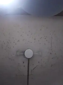 Snapshot of marie12345679 chatting on February 2026 01:15:02 AM marie12345679 online show from February 2026 01:15:02 AM