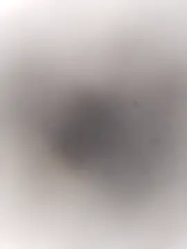 Pitercom online show from September 2025 03:46:01 PM