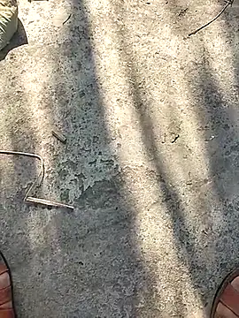 Pitercom online show from November 2025 09:10:02 AM