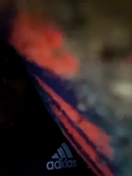 Pitercom online show from February 2026 02:56:02 PM