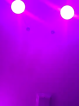 ScarletCallings420 online show from February 2025 04:15:01 PM