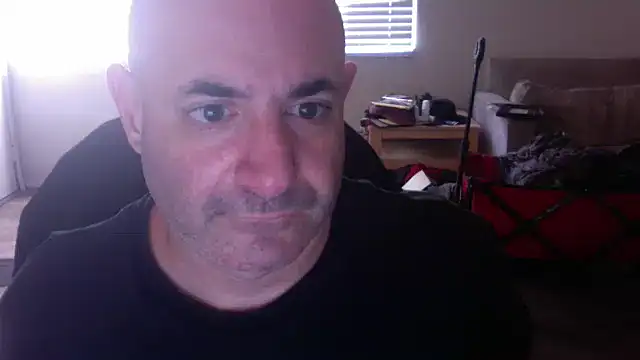 Snapshot of palidin1 chatting on November 2025 09:36:02 PM palidin1 online show from November 2025 09:36:02 PM