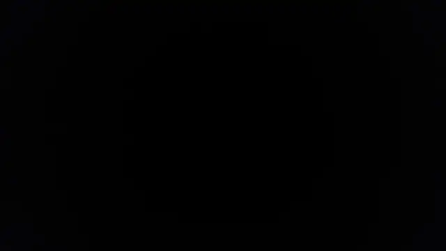 Snapshot of palidin1 chatting on November 2025 10:37:02 AM palidin1 online show from November 2025 10:37:02 AM