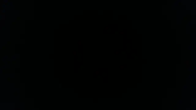 Snapshot of palidin1 chatting on November 2025 01:17:01 AM palidin1 online show from November 2025 01:17:01 AM