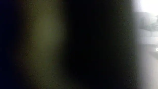 Snapshot of palidin1 chatting on February 2026 07:51:02 AM palidin1 online show from February 2026 07:51:02 AM