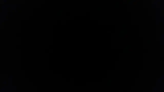 Snapshot of palidin1 chatting on February 2026 03:49:02 PM palidin1 online show from February 2026 03:49:02 PM