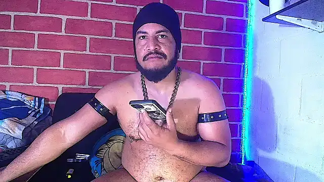 the master foal  online show from January 2025 12:17:02 PM