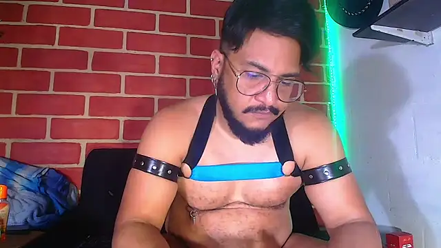 the master foal  online show from January 2025 05:13:01 PM