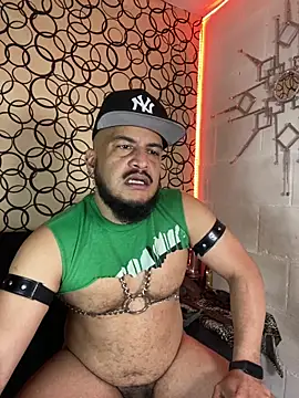 Snapshot of the_master_foal_ chatting on February 2026 07:03:02 PM the master foal online show from February 2026 07:03:02 PM