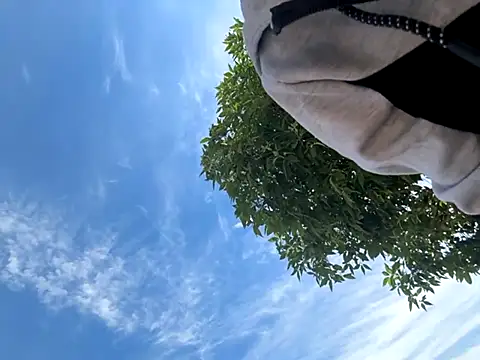 kingdennis6666 online show from September 2025 07:26:02 PM