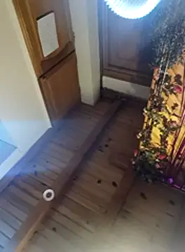 virginriverofficial online show from January 2026 11:56:01 AM