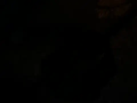 jck1m0t online show from December 2024 11:07:02 AM