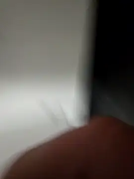 WhiteMeat069 online show from December 2024 12:13:01 AM