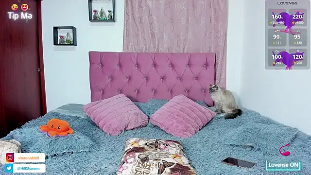 sharon hill online show from October 2025 02:19:01 AM